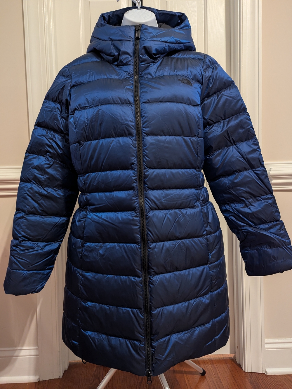 The North Face Women's Metallic Blue Hooded Down Parka
